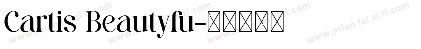 Cartis Beautyfu字体转换
